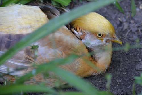 World of Birds Wildlife Sanctuary.